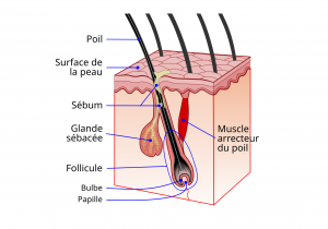 4 astuces pour lutter contre les poils incarnés